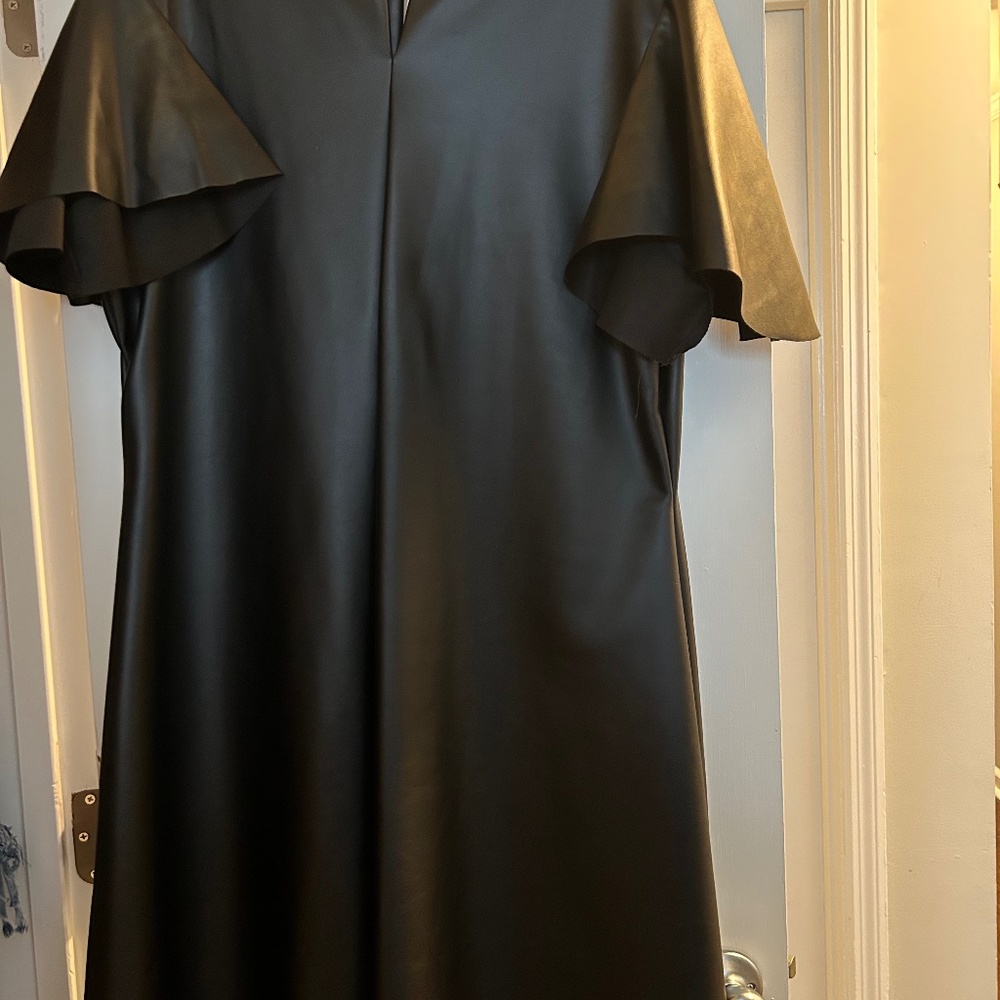 Black Leather dress (Ashley Stewart)